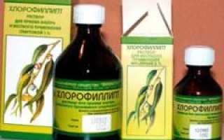 Хлорофиллипт от прыщей