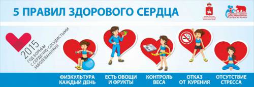 5 правил здорового сердца 5 правил здорового сердца