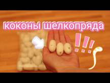 Embedded thumbnail