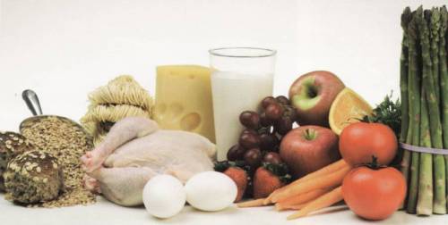 Продукты питания