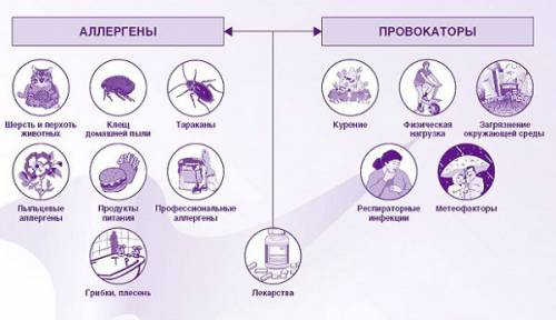 Аллергены Аллергены