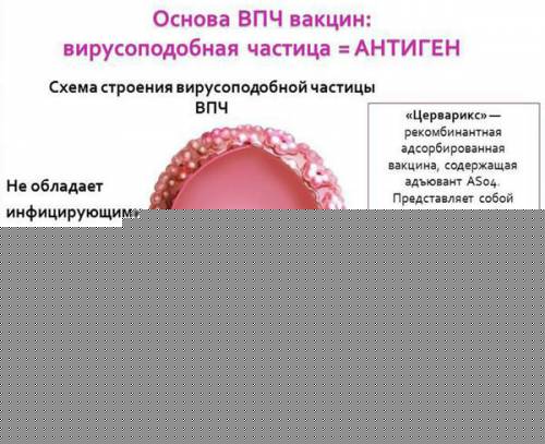 Действие вакцины от ВПЧ