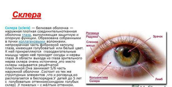 Информация о склере
