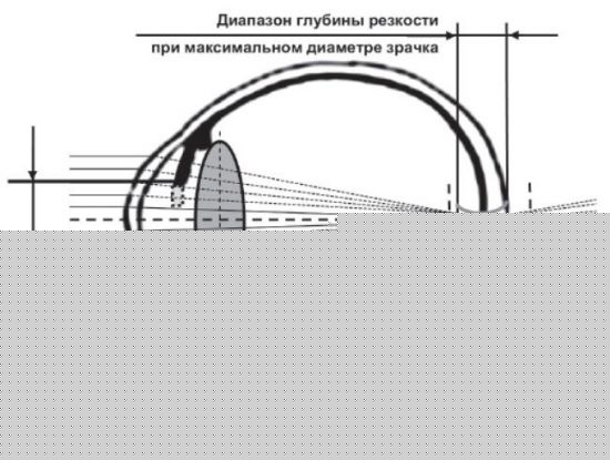 Зрачок глаза